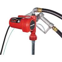 Pompe de transfert de carburant 12 V CC avec pistolet EastCoast Offshore Supplies