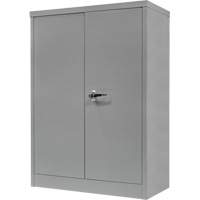 Counter-High Storage Cabinet, Steel, 2 Shelves, 42" H x 48" W x 24" D, Grey EastCoast Offshore Supplies