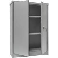 Counter-High Storage Cabinet, Steel, 2 Shelves, 42" H x 48" W x 24" D, Grey EastCoast Offshore Supplies