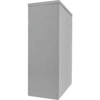 Counter-High Storage Cabinet, Steel, 2 Shelves, 42" H x 48" W x 24" D, Grey EastCoast Offshore Supplies