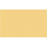 Cales minces chromocod&eacute;es en plastique EastCoast Offshore Supplies