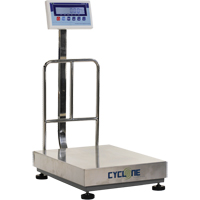 Cyclone 300 Bench and Platform Scale, 600 lbs. / 300 kg Capacity, 17-3/4" L x 23-3/5" W EastCoast Offshore Supplies