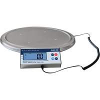 Keg Weighing Scale, 200 kg Capacity EastCoast Offshore Supplies