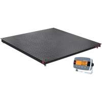 DEFENDER 3000 Floor Scale, 2500 lbs. Capacity, 48" W x 48" L EastCoast Offshore Supplies