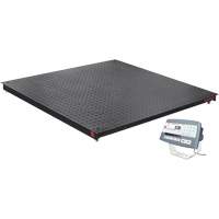 DEFENDER 5000 Floor Scale, 2500 lbs. Capacity, 48" W x 48" L EastCoast Offshore Supplies