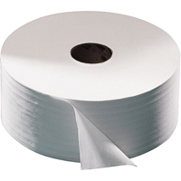 Advanced Toilet Paper, Jumbo Roll, 2 Ply, 751' Length, White EastCoast Offshore Supplies