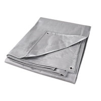 Tarp, Super Heavy-Duty, Silver, 10' x 8' x 12 mils EastCoast Offshore Supplies
