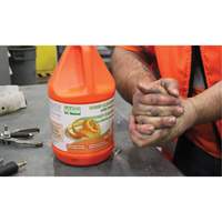Orange Hand Cleaner, Pumice, 3.6 L, Jug, Orange EastCoast Offshore Supplies