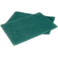 Scotch-Brite Hand Pads, Scrubbing, 6" W x 9" L EastCoast Offshore Supplies