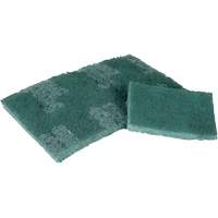 Scrubber Pad, 3" L x 4-1/2" W EastCoast Offshore Supplies