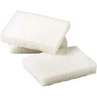 Scotch-Brite Light Duty Scrubbing Pad, 5" L x 3-1/2" W EastCoast Offshore Supplies