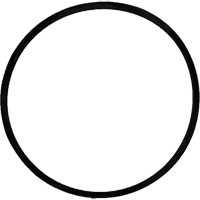 Courroie d'entrainement de rechange pour brosse EastCoast Offshore Supplies