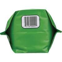 Nettoyant pour les mains biod&eacute;gradable, Poudre, 4,5 lb, Pochette, Sans parfum EastCoast Offshore Supplies