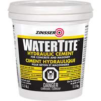 Watertite&reg; Hydraulic Cement EastCoast Offshore Supplies