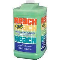 Reach Extra Heavy-Duty Hand Cleaner, Pumice, 3.78 L, Jug, Scented EastCoast Offshore Supplies