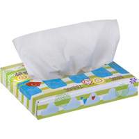 Kleenex&reg; Junior Facial Tissues, 2 Ply, 8.4" L x 5.5" W, 40 Sheets/Box EastCoast Offshore Supplies