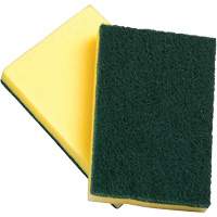 Sponges with Scouring Pad, Scrubbing, 4" W x 6" L EastCoast Offshore Supplies