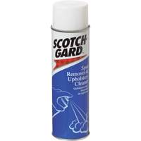 Carpet Spot Remover and Upholstery Cleaner, 17 oz., Aerosol Can EastCoast Offshore Supplies