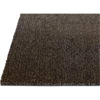 Palliser Indoor Matting, Wiper/Scraper, 3-1/2' x 6' x 5/16", Anglis EastCoast Offshore Supplies