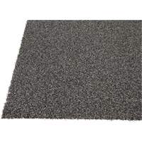 Tapis dint&eacute;rieur/ext&eacute;rieur Tundra, Latex/Polypropyl&egrave;ne, Grattoir Type, Motif Velours touffet&eacute;, 3-1/2' x 6', Charbon EastCoast Offshore Supplies