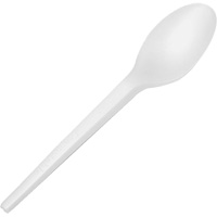 CPLA Compostable Spoons EastCoast Offshore Supplies
