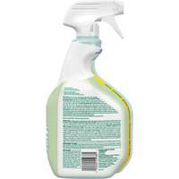 Nettoyant d&eacute;sinfectant CloroxPro Clorox EcoClean, 946 ml, Bouteille &agrave; g&acirc;chette EastCoast Offshore Supplies