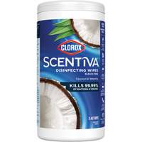 Disinfecting Wipes, 75 Count EastCoast Offshore Supplies