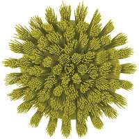 Brosse ronde HyDrive pour perceuse, Soies Tr&egrave;s ferme, Longueur de 3-1/10", Jaune EastCoast Offshore Supplies