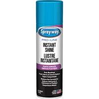 Brillant instantan&eacute; Pro Line pour surfaces en plastique, 11 oz, Canette a&eacute;rosol EastCoast Offshore Supplies