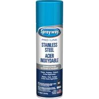 Nettoyant & polis pour acier inoxydable Pro Line, 15 oz, Canette a&eacute;rosol EastCoast Offshore Supplies