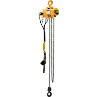 Budgit&reg; Air Chain Hoists EastCoast Offshore Supplies
