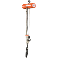 ShopStar Electric Hoists, 10' Lift, 250 lbs. (0.125 tons) Capacity, 16 FPM EastCoast Offshore Supplies