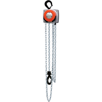 Hurricane 360° Chain Hoist, 10' Lift, 1000 lbs. (0.5 tons) Capacity, Steel Chain EastCoast Offshore Supplies