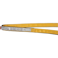 &eacute;lingues de levage en polyester, Pli Simple, Sans fin, Type 5, 1" la x 3' lo, Capacit&eacute; verticale 3200 lb EastCoast Offshore Supplies
