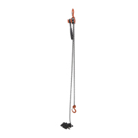 Mini palan &agrave; levier, Lev&eacute;e 20', Cabacit&eacute; 1000 lb (0,5 tonne), Chaîne en Acier EastCoast Offshore Supplies