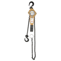 Heavy Duty Gold Series Lever Chain Hoist, 5' Lift, 1500 lbs. (0.75 tons) Capacity, Alloy Steel Chain EastCoast Offshore Supplies