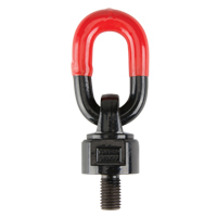 Anneaux de treuil de levage pivotant, 1/4", Longueur du filetage 13 mm, Acier alli&eacute; EastCoast Offshore Supplies