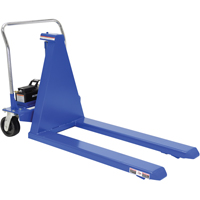 Electric Skid Lift, Steel, 2500 lbs. Capacity EastCoast Offshore Supplies