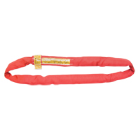 Polyester Round Sling, Red, 3" W x 3' L, 14000 lbs. Vertical Load EastCoast Offshore Supplies