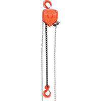 Chain Hoist, 20' Lift, 1000 lbs. (0.45 tons) Capacity, Alloy Steel Chain EastCoast Offshore Supplies
