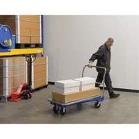 Platform Cart, 48" L x 24" W, 1500 lbs. Capacity, Mold-on Rubber Casters EastCoast Offshore Supplies