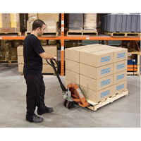 Heavy-Duty Manual Pallet Truck, Steel, 48" L x 27" W, 5500 lbs. Capacity EastCoast Offshore Supplies