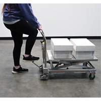 Hydraulic Scissor Lift Table, 31-1/2" L x 19-1/2" W, Stainless Steel, 550 lbs. Capacity EastCoast Offshore Supplies
