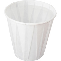 Pleated Cup, Paper, 5 oz., White EastCoast Offshore Supplies