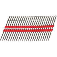 16D Collated Duplex Nails EastCoast Offshore Supplies