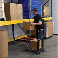 Fold-Up Platform Truck, Stainless Steel, 300 lbs., 28" L x 16" W, 33-1/2" High EastCoast Offshore Supplies