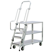 Chariot de pr&eacute;paration en aluminium avec &eacute;chelle, Aluminium, 22" la x 51-1/2" p, 3 tablettes, Capacit&eacute; 800 lb EastCoast Offshore Supplies