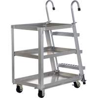 Chariot de pr&eacute;l&egrave;vement de stock, Aluminium, 21-7/8" la x 40" p, 3 tablettes, Capacit&eacute; 660 lb EastCoast Offshore Supplies
