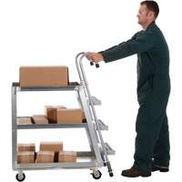 Chariot de pr&eacute;l&egrave;vement de stock, Aluminium, 21-7/8" la x 40" p, 3 tablettes, Capacit&eacute; 660 lb EastCoast Offshore Supplies