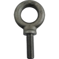 Alloy Steel Eye Bolt, 1-3/8" Dia., 1-3/4" L, 4300 lbs./4300 lbs. (2.15 tons) Capacity EastCoast Offshore Supplies